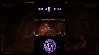 A Perfectly "Normal" Jump Kick | MK11