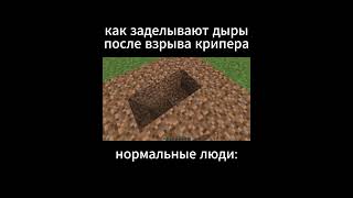 а какой вы тип?  #майнкрафт #minecraft #рек #shorts