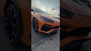 Lamborghini Urus 🧡 #shorts #carspotters #carspotting #lamborghini #urus #lambo #luxurylifestyle