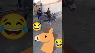 #funny video Full Enjoy Malik Writer 1