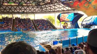 SeaWorld first time meeting Shamu!!