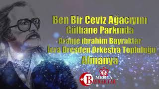 Ben Bir Ceviz Ağacıyım Gülhane parkında Aranje İbrahim Bayraktar