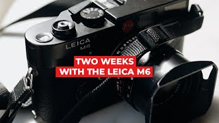 Two Weeks with the Leica M6