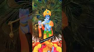 janmashtami decoration ideas 🙏🏻#janmashtami#janmashtamispecial #janmashtamidecoration #shortsvideo