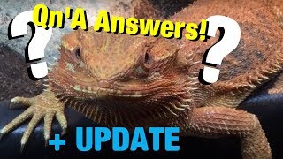 1K Qn’A ANSWERS and Update - Summer’s End 2018