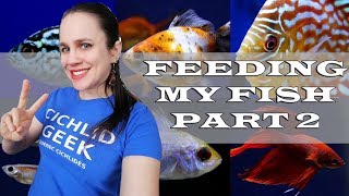 FISH STORE TOUR PART "DEUX"  Feeding my fish + Spoilers for my fish store makeover + Mystery box