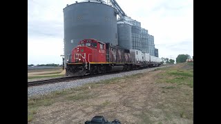 CN 4791(Zebra GP38-2W) Leads WB Geometry Train