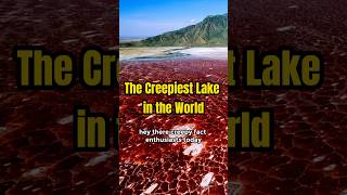 Discover the Terrifying Lake Natron: Where Animals Turn to Stone!