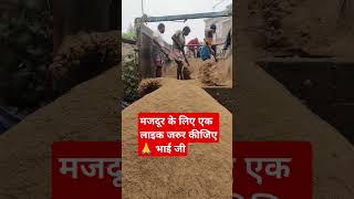 टेलर पर से बालू नीचे उतारते हुए 🙏#tailor #unloading #majdur new #shots #video ple sup like subscribe