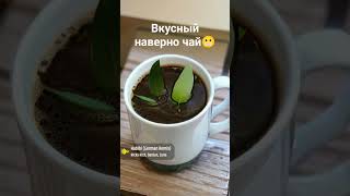 вкусный чай🤣