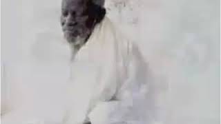 Serigne saliou mbacke : thiey