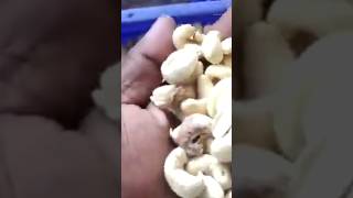 Why are cashew 🥜🥜 nuts never sold unshelled? 🤯🤯 || #shorts #viral #short