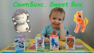 Свит Бокс. Sweet Box. Пушистики Доггивуд 2. Пони на ладони. Мишка Тедди и его Голубоносые друзья.