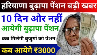 10 दिन और नहीं आएगी हरियाणा बुढ़ापा पेंशन | Haryana budhapa pension kab aaegi #pension #haryana