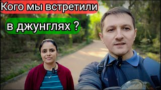 Остерегайтесь этого в джунглях 👹 | Часть 1 | Индия