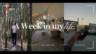 WEEKLY Vlog| Living Alone Diaries ATL . . . NEW FURNITURE, Fall DECOR, Bamboo Forest HIKE +MORE |