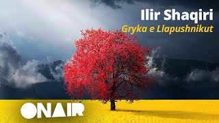 Ilir Shaqiri - Gryka e Llapushnikut