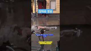 #자유형#땅집고 헤엄치기