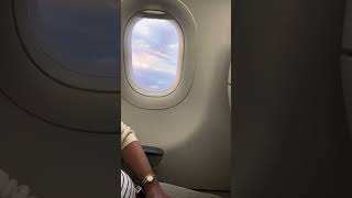 Miami Flight #travel #shortsvideo #shortvideo #trending #tiktok #trendingshorts #trend