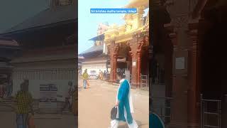 Sri krishna matha temple , Udupi #ytshorts #travel #placestovisitinudupi #foryou #shortsfeed