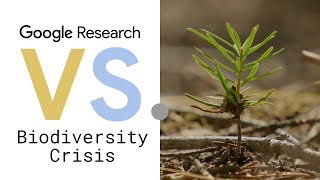 Google Research Vs. Biodiversity Crisis