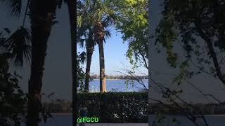 FGCU Lakefront 2019