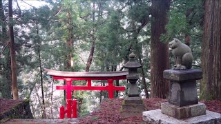 Nanbu Shrine (南部神社) Nagaoka - długa droga do Kociej Świątyni w górach