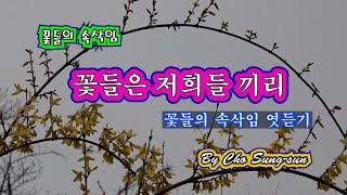 꽃들은 저희들끼리 - 꽃들의 속삭임 엿듣기- #97