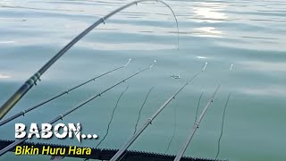 Mancing Nila Babon 🔴 Bikin huru hara