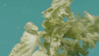 Close-up of flying lettuce on isolated background. Stock footage. Fresh green lettuce leaves fly on