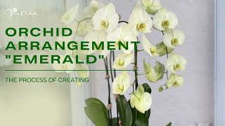 The Process of Creating an Orchid Arrangement "Emerald" | Viva Orchids of Boca Raton