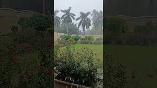 Wheather #baarish #mausam #collegeadmission