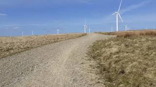 A Walk Amongst the Wind Farm.