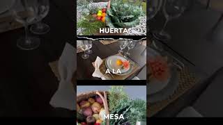 🌿🍽️ ¿Te gustaría aprender a embellecer tu mesa con productos frescos de la huerta?