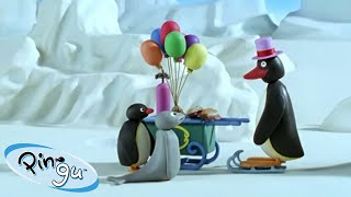 Pingu Tries to Fly! 🐧 | Pingu - Official Channel | Cartoons For Kids