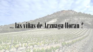 ¿Sabías que... las viñas de Arzuaga lloran?