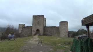 The Wolf and the Castle; Chateau Puivert was taken in 1210 by the Crusaders from Octogon