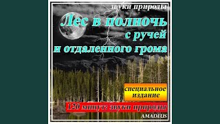 Лес в полночь с ручей и отдаленного грома: звуки...