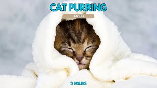 2 hours of cat purring sounds. Cat purring ASMR sleep. 2 hours of purring