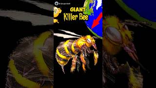 Killer Bee found 🤯🐝😱 on google earth and google maps 🌎 #shots #sygoogleearth