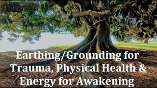 Best Health Secret: Earthing/Grounding to Calm the Nervous System & Heal (Earthing.com PROMO Code)