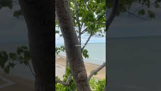 Khao Ka Lok Viewpoint 😍❤️ #shortsvideo #huahin #travel #beach #thailand  🇹🇭