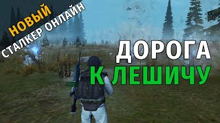 25. Дорога к Лешичу. Новый Сталкер Онлайн, СПБ сервер.