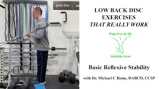 L3 L4 L5 S1 Disc Exercises for Pain Herniation Bulge & Degeneration- Reflex Basic Stability Training