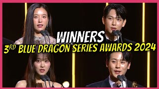 3rd Blue Dragon Series Awards 2024 Winners