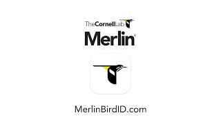 Merlin Bird ID--Free app from the Cornell Lab