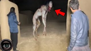 Creepy Creature Found During An Exploration - 7 Videos Of Extreme Horror