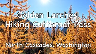 Golden Larches at Cutthroat Pass | Hiking in North Cascades, Washington State