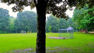 Rain voice under the trees in quiet place summer . If you like rain voice you have to see the video