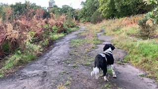 Bidston Lighthouse with Stella